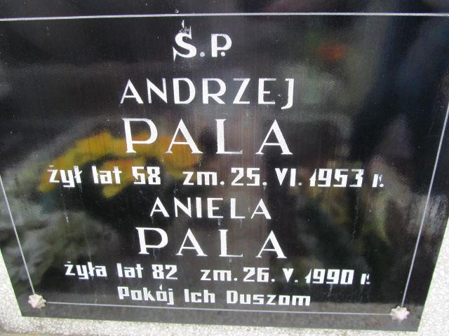 Andrzej Pala Mstów - Grobonet - Wyszukiwarka osób pochowanych