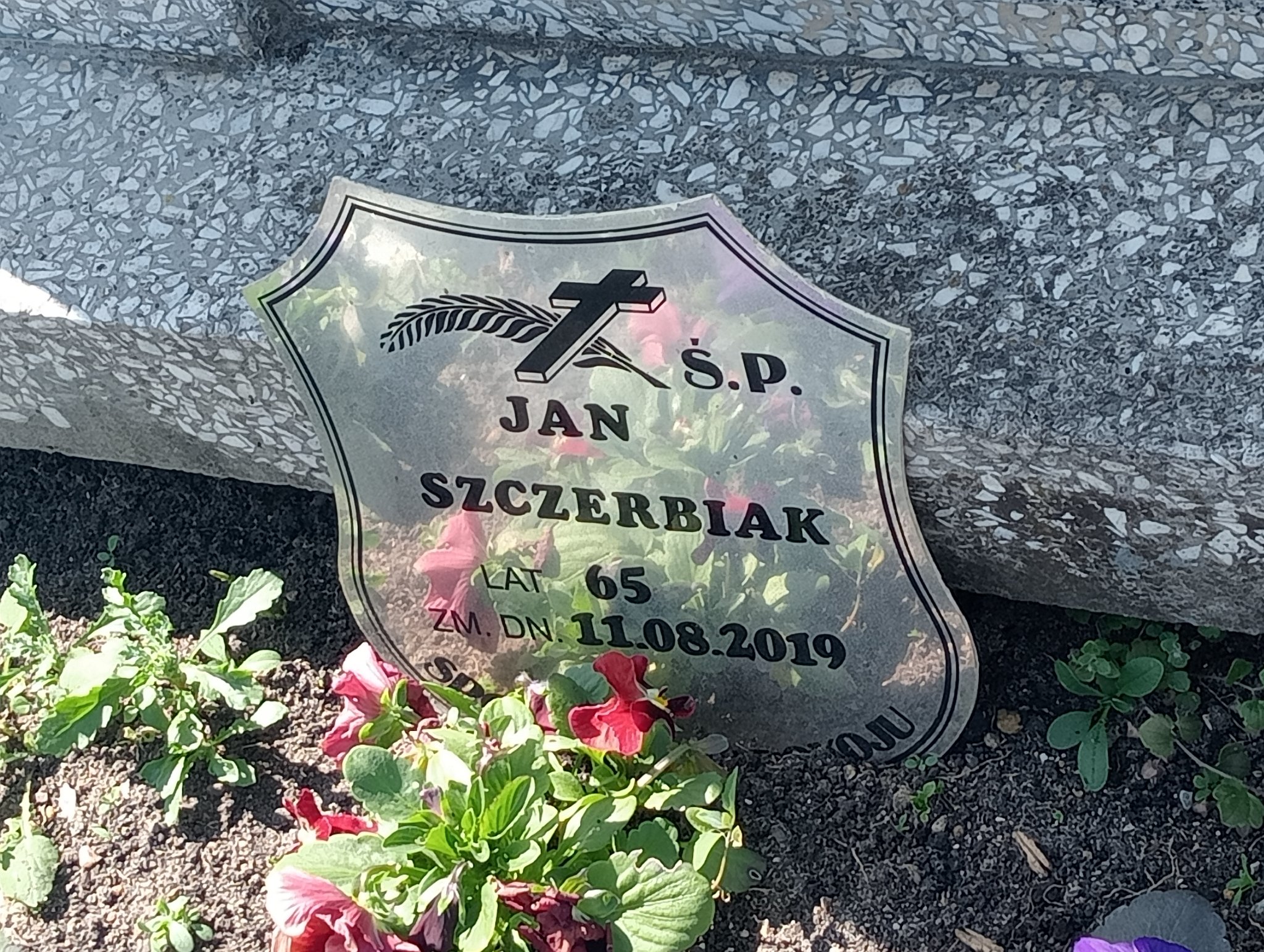 Jan Piekarski 1894 Mstów - Grobonet - Wyszukiwarka osób pochowanych