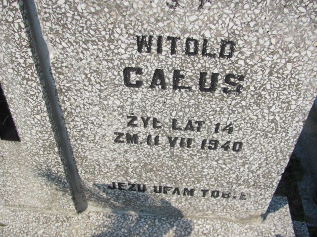 Witold Całus Mstów - Grobonet - Wyszukiwarka osób pochowanych