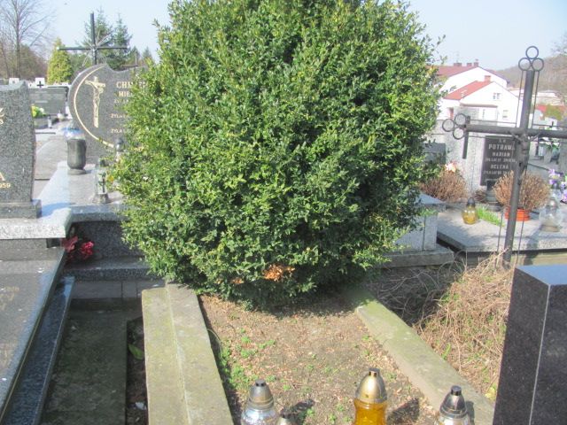  NN Mstów - Grobonet - Wyszukiwarka osób pochowanych